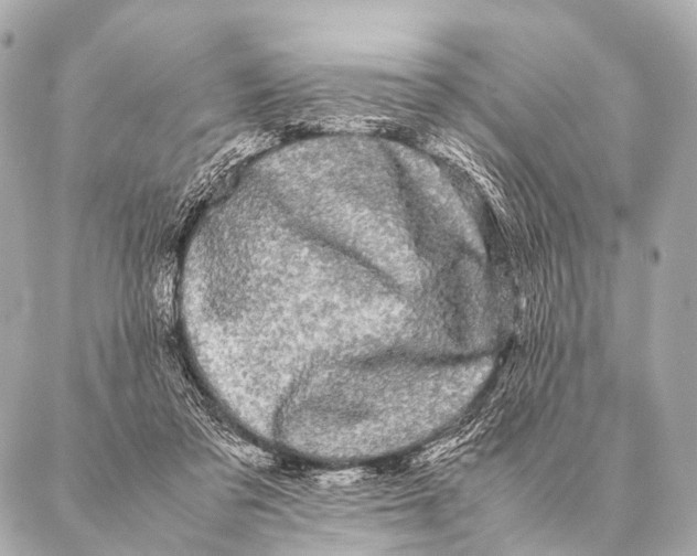 X0000087020309200705141903