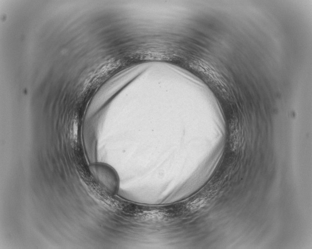 X0000087020310200705141903