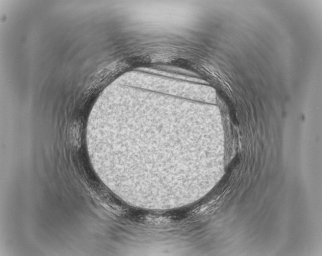 X0000087020311200705141903