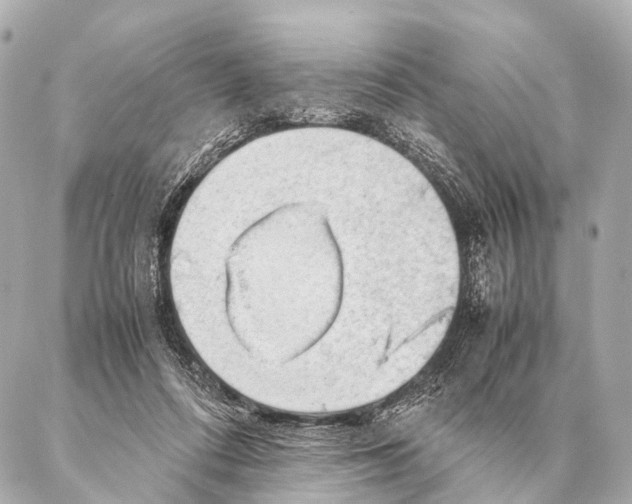 X0000087020312200705141903