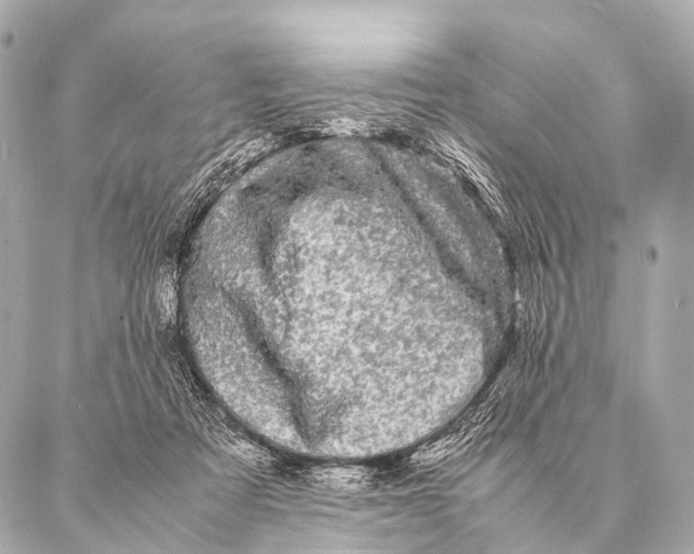 X0000087020313200705141903