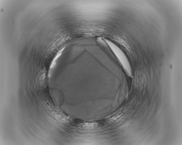 X0000087020314200705141903