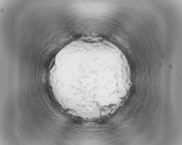 X0000087020315200705141903