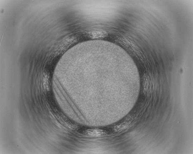 X0000087020316200705141903