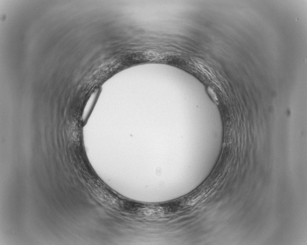 X0000087020317200705141903