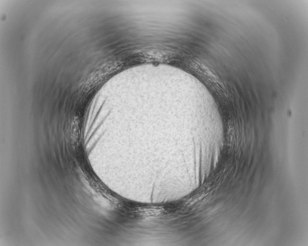 X0000087020318200705141903