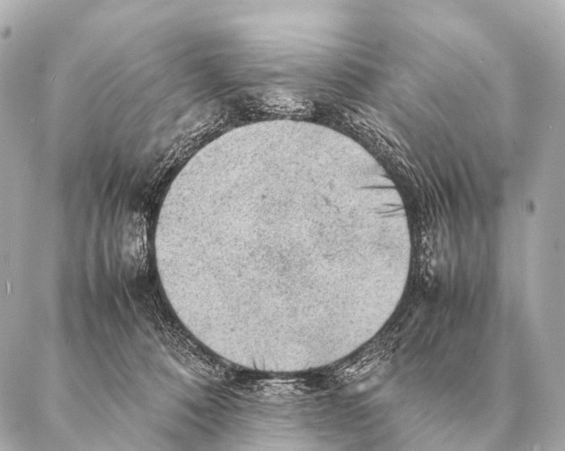 X0000087020320200705141903