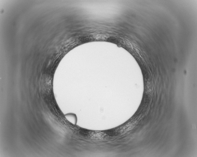 X0000087020321200705141903