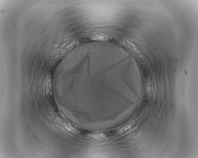 X0000087020322200705141903