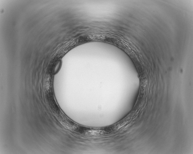 X0000087020323200705141903