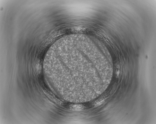 X0000087020324200705141903