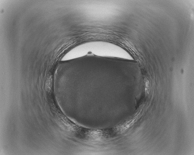 X0000087020325200705141903