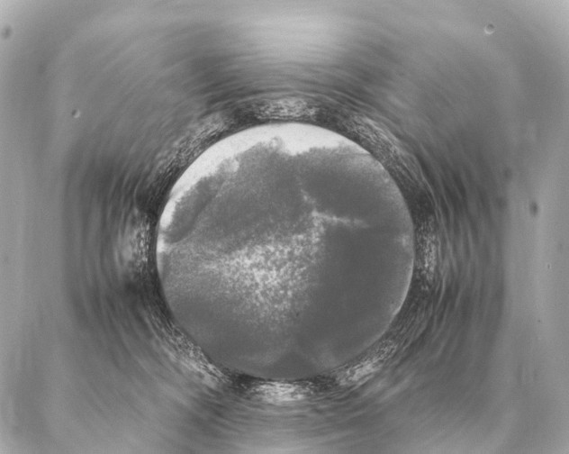 X0000087020326200705141903