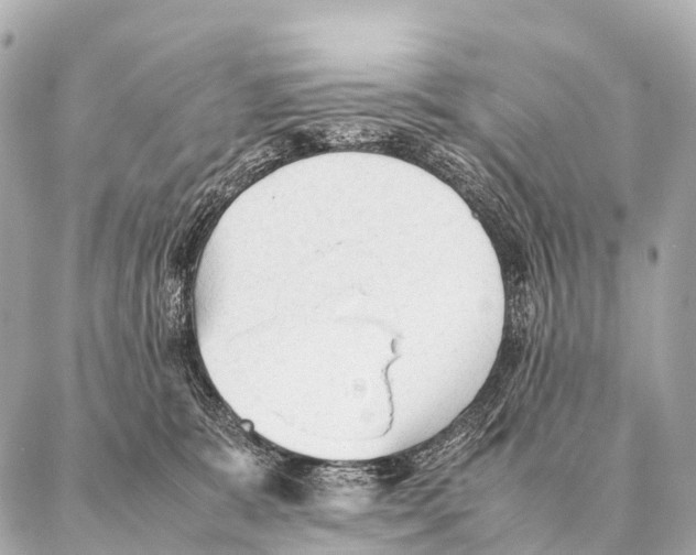 X0000087020327200705141903