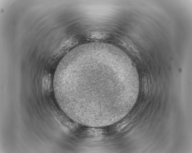 X0000087020328200705141903