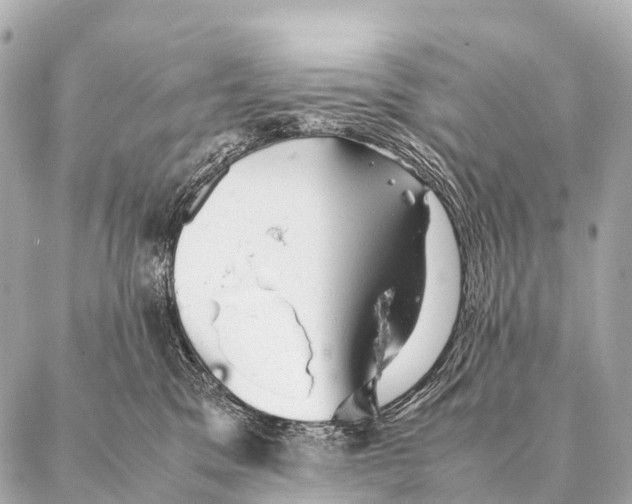 X0000087020329200705141903