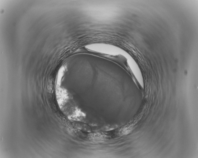 X0000087020331200705141903