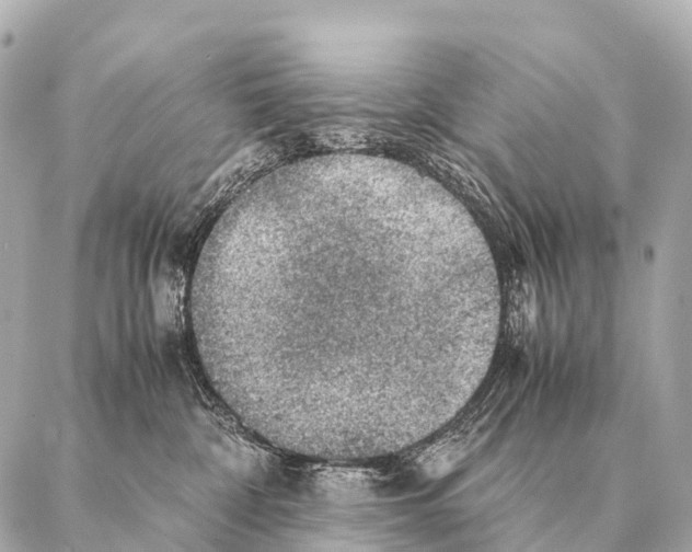 X0000087020332200705141903