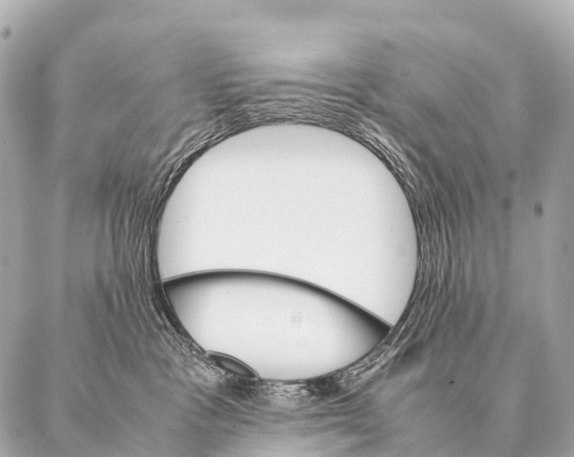 X0000087020333200705141903