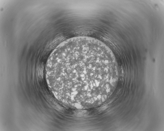 X0000087020334200705141903