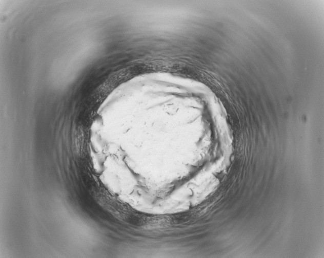 X0000087020335200705141902