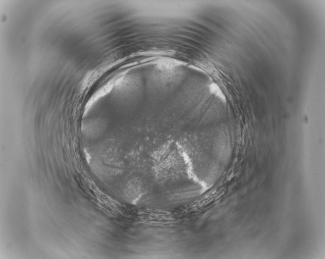 X0000087020337200705141902