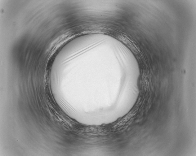 X0000087020338200705141902