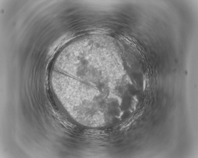 X0000087020339200705141902