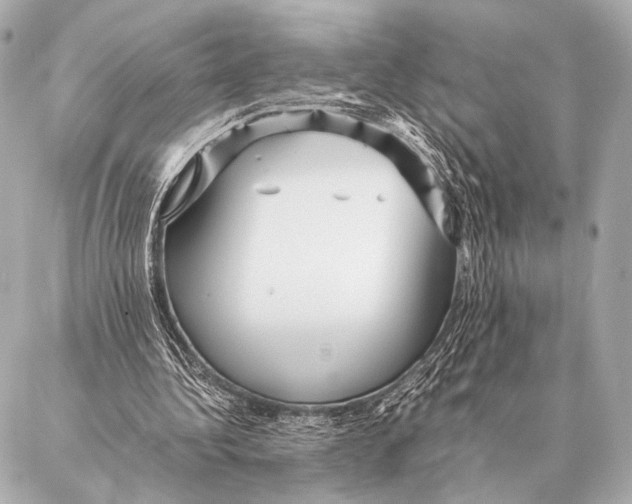 X0000087020340200705141902