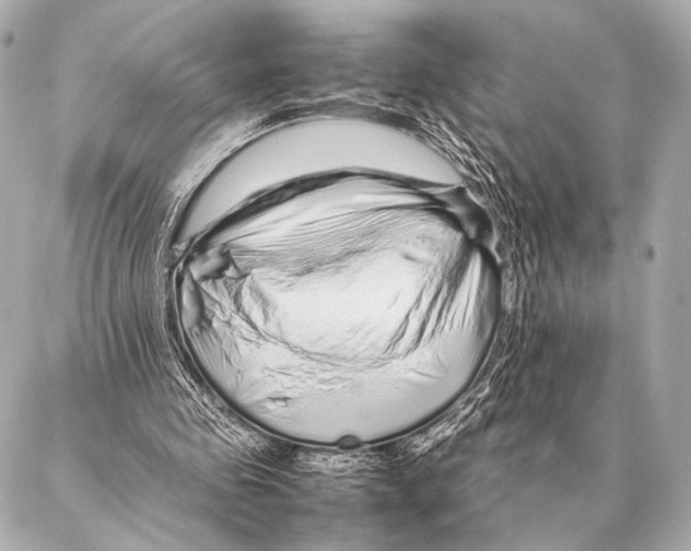 X0000087020341200705141902