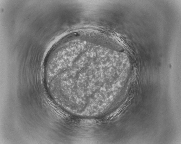 X0000087020342200705141902