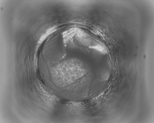 X0000087020343200705141902