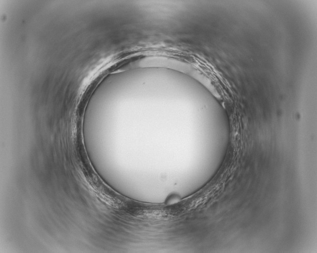 X0000087020344200705141902