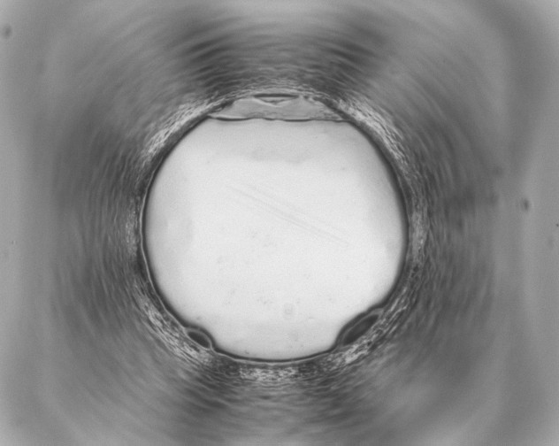 X0000087020345200705141902