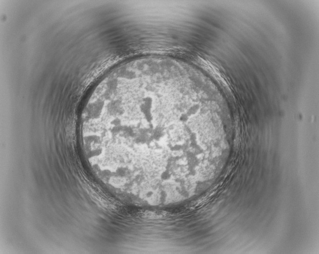 X0000087020346200705141902