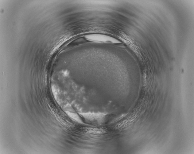 X0000087020347200705141902