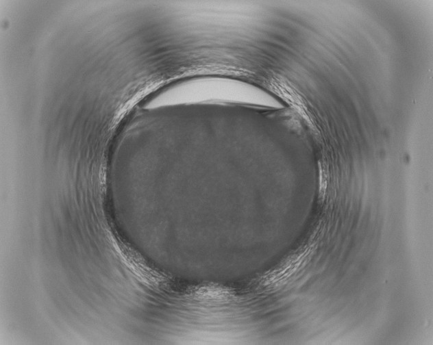 X0000087020348200705141902