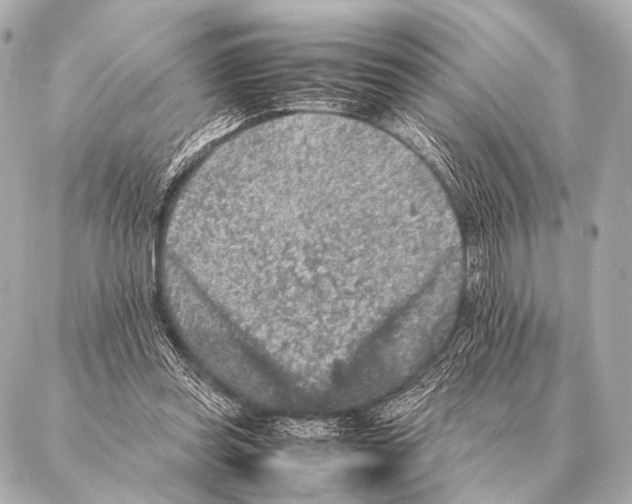 X0000087020349200705141902