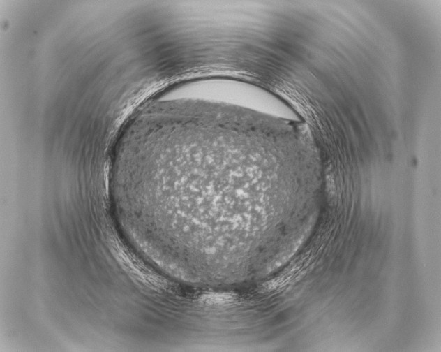 X0000087020350200705141902