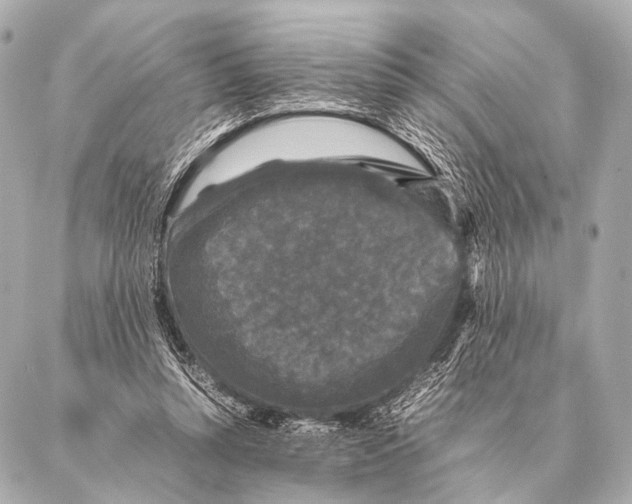 X0000087020352200705141902