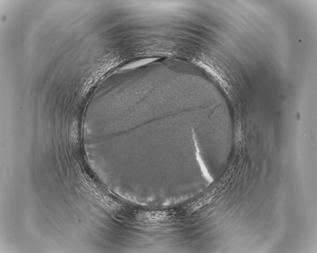 X0000087020353200705141902