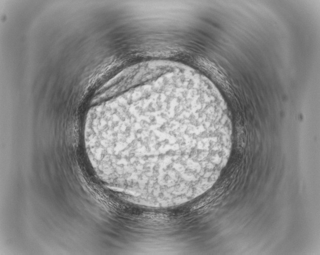 X0000087020354200705141902