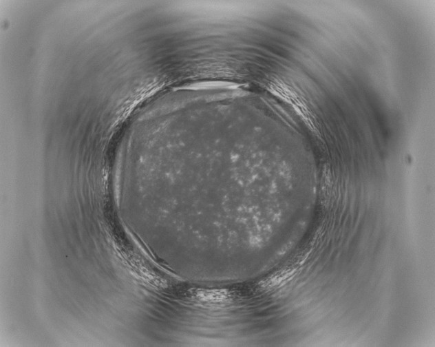 X0000087020355200705141902