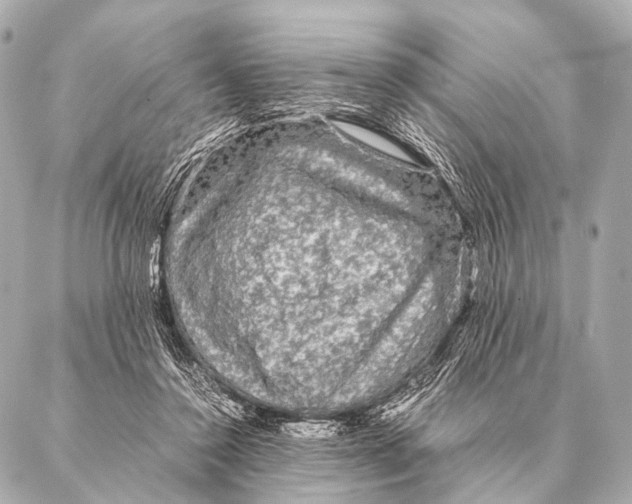 X0000087020356200705141902