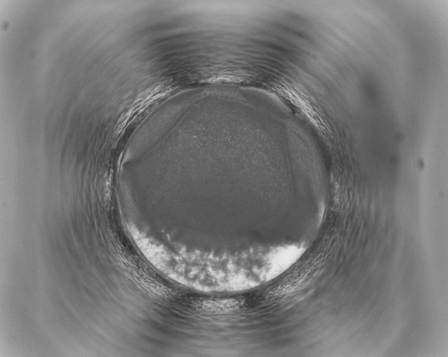 X0000087020357200705141902