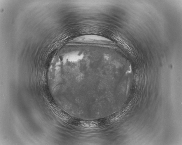 X0000087020359200705141902