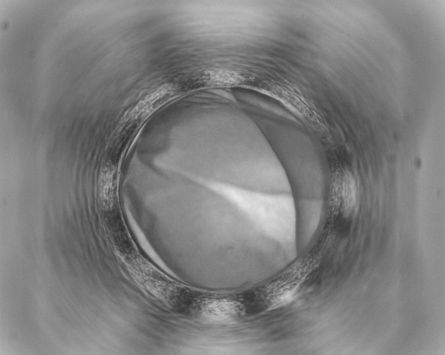 X0000087020360200705141902