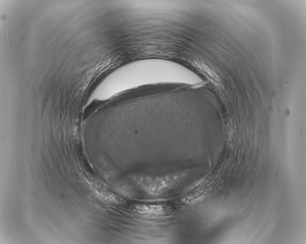 X0000087020361200705141902