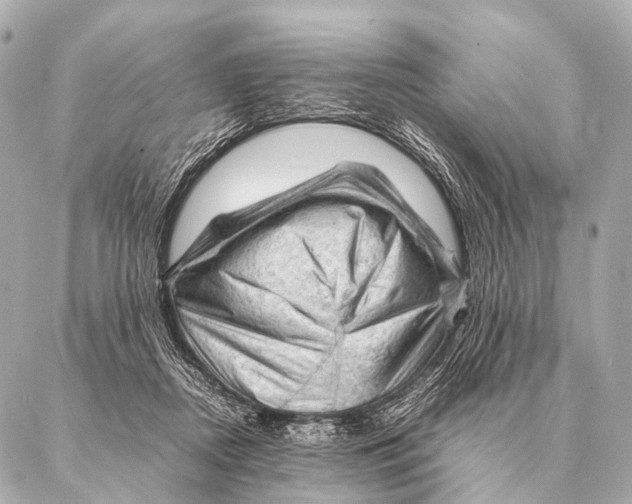 X0000087020362200705141902