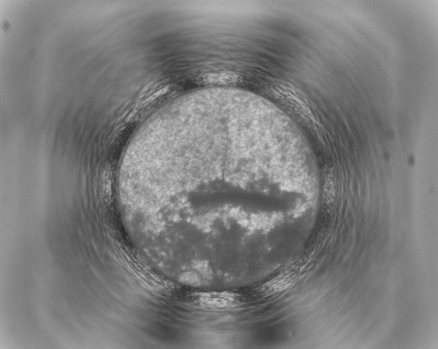 X0000087020363200705141902